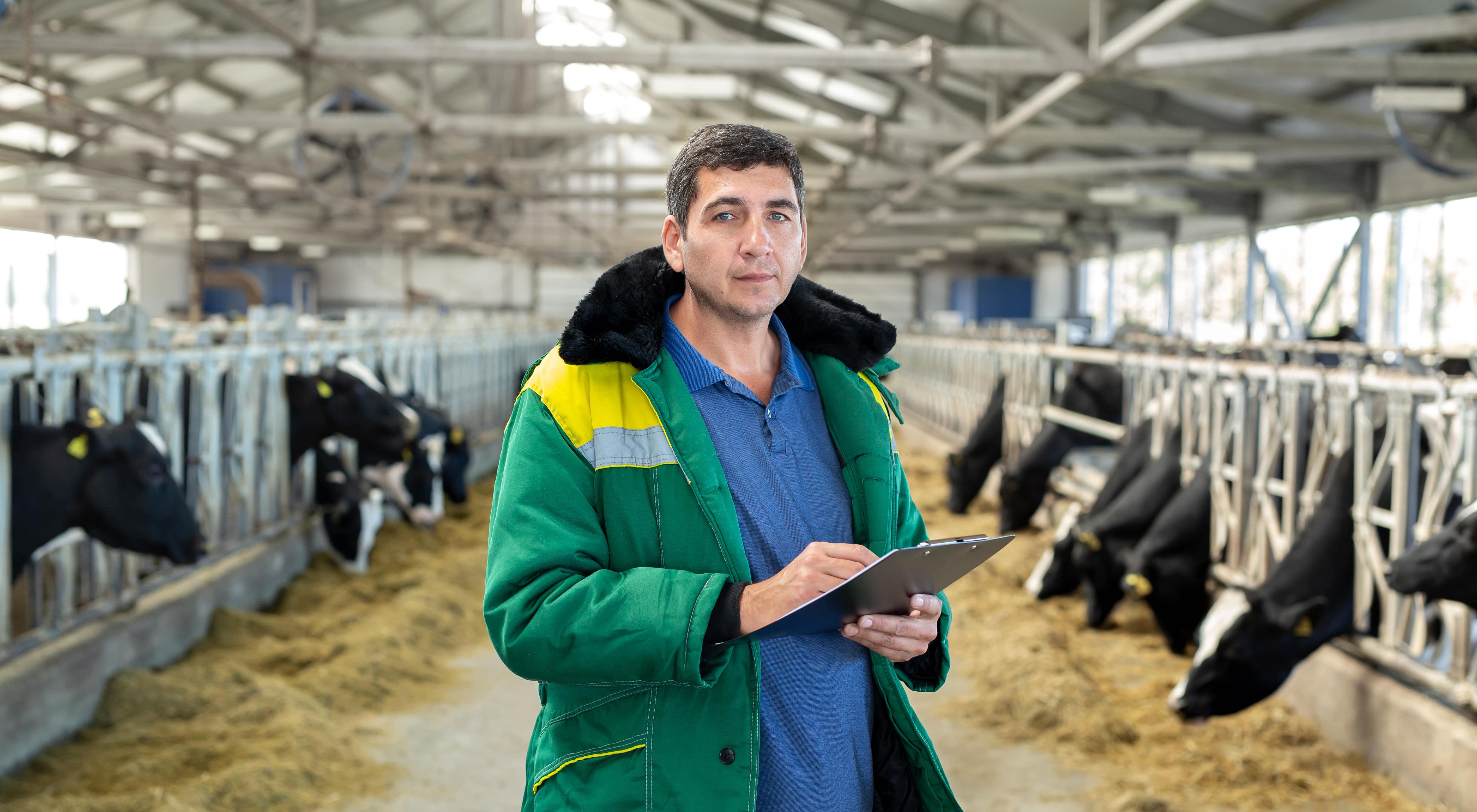 a-male-farmer-in-uniform-with-a-tablet-and-cows-in-2022-11-08-04-51-10-utc-min-cropped